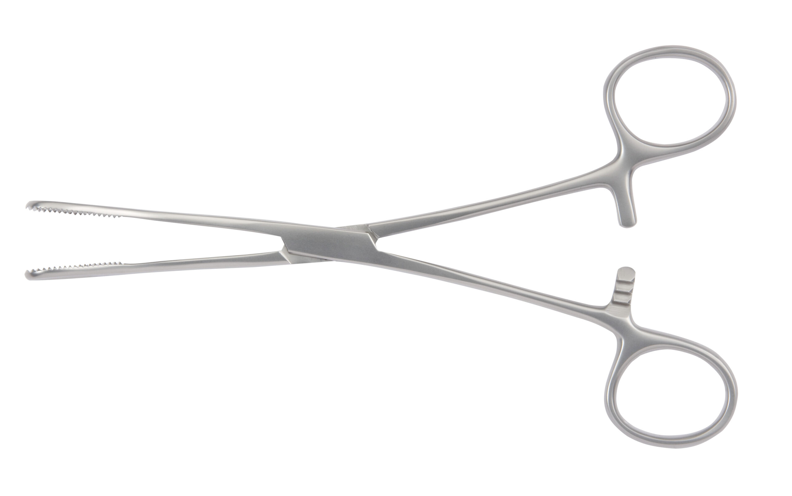 Foerster Sponge Forceps Curved with Serrated Jaws - Bolton Surgical