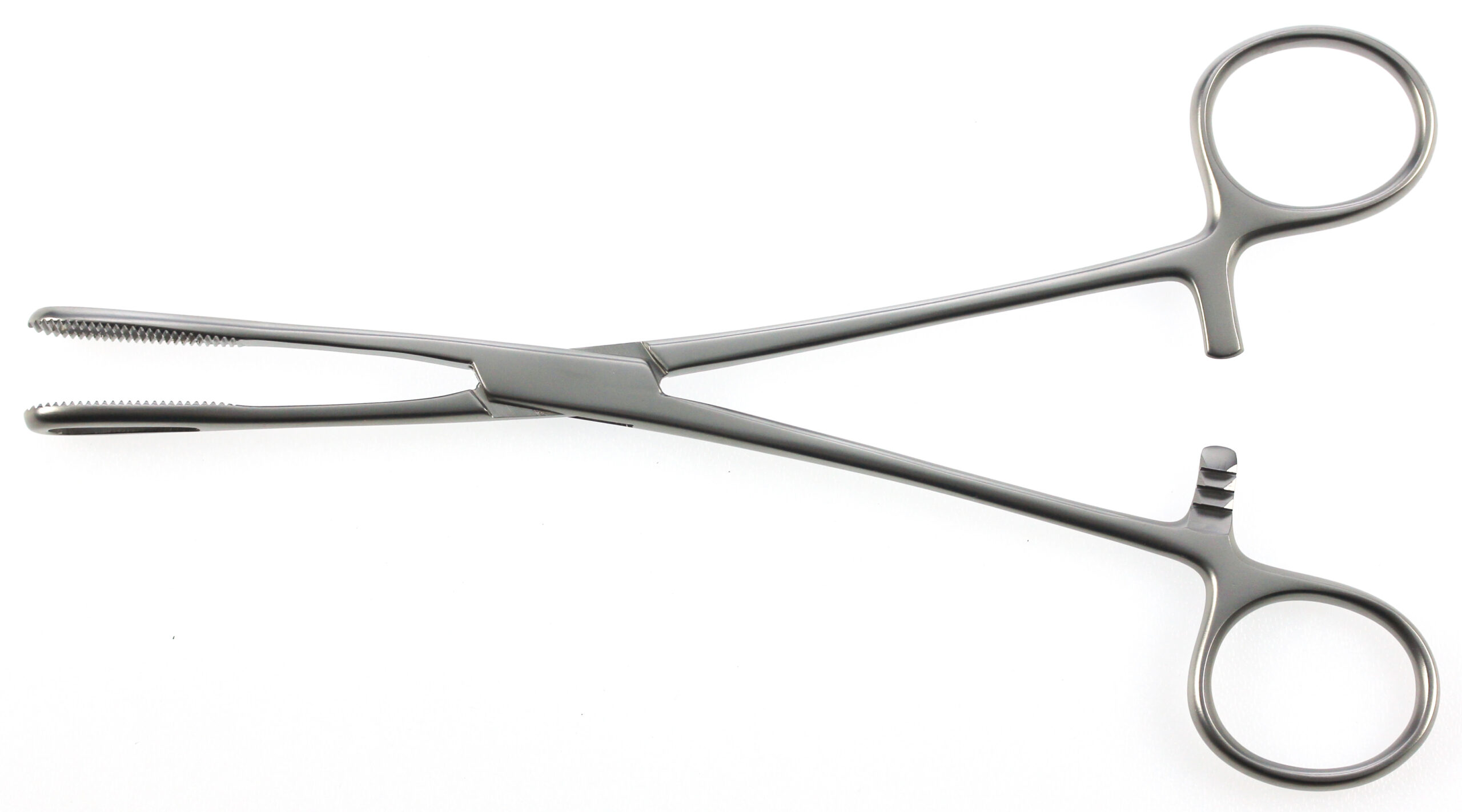 Rampley Sponge Forceps Straight Serrated Jaws with Box Joint - Bolton Surgical