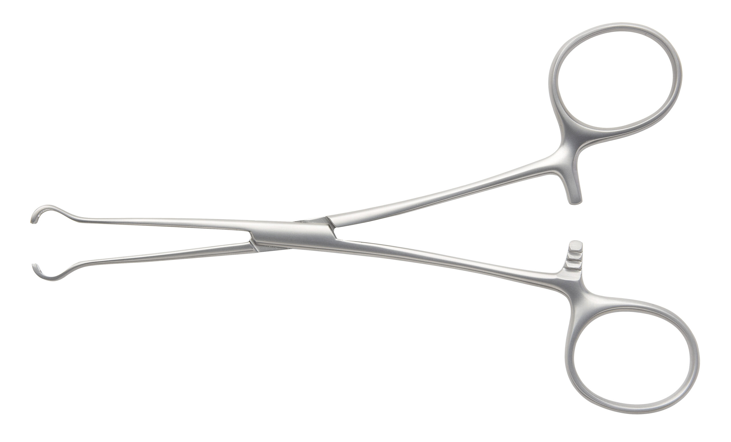 Babcock Tissue Forceps Serrated - Bolton Surgical