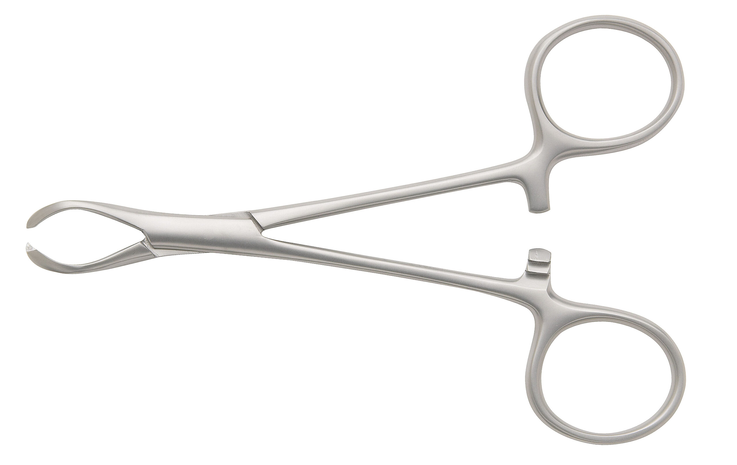 Lane Tissue Forceps 1:2 Teeth - Bolton Surgical