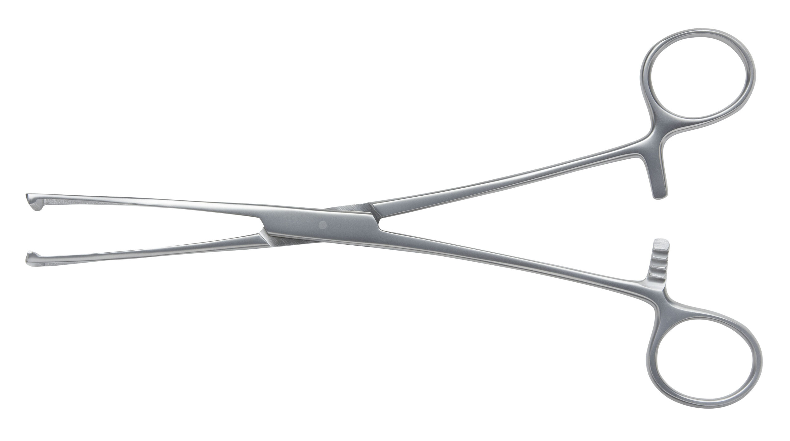Duval Tissue Forceps Serrated Jaw 190mm Overall Length - Bolton Surgical