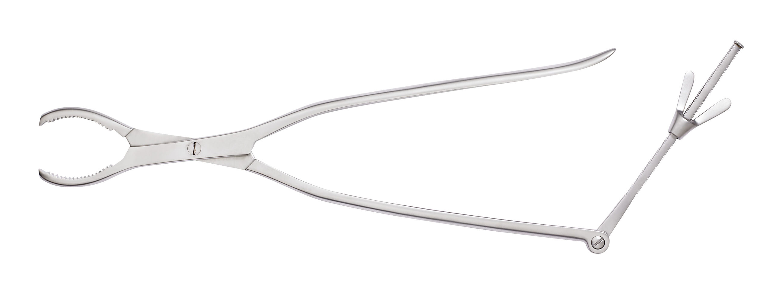 Lane Bone Holding Forceps Small Jaw 330mm - Bolton Surgical