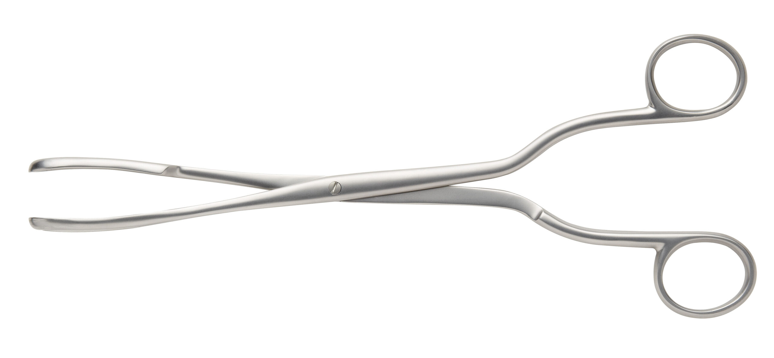 Greenhaigh Ovum Forceps Screw Joint 240mm - Bolton Surgical