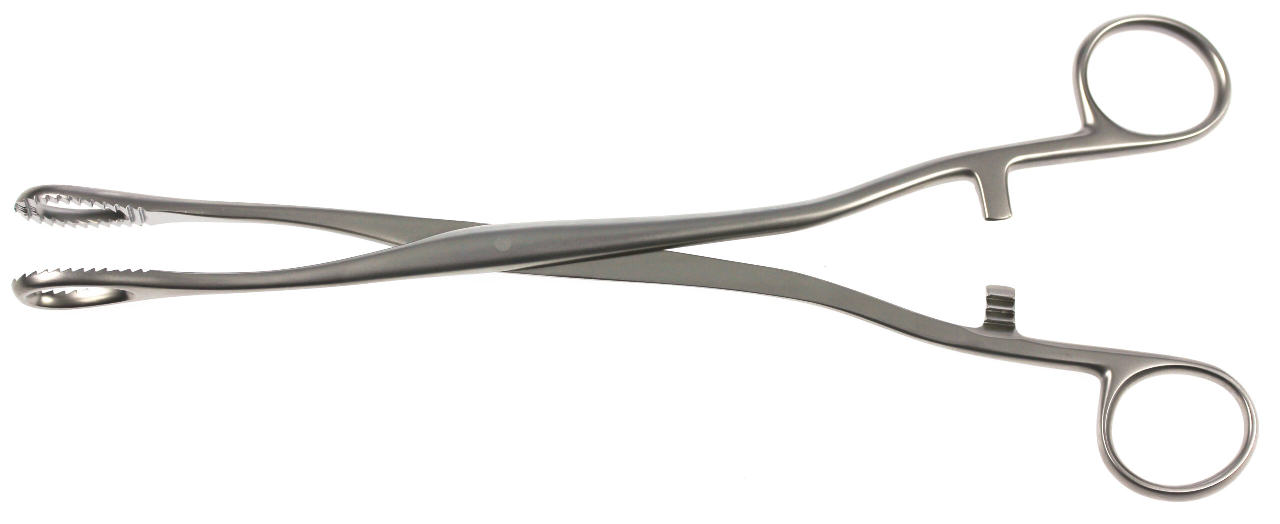 Heywood Smith Ovum Forceps Round Heavy Serrated 17mm Diameter Jaw 250mm - Bolton Surgical