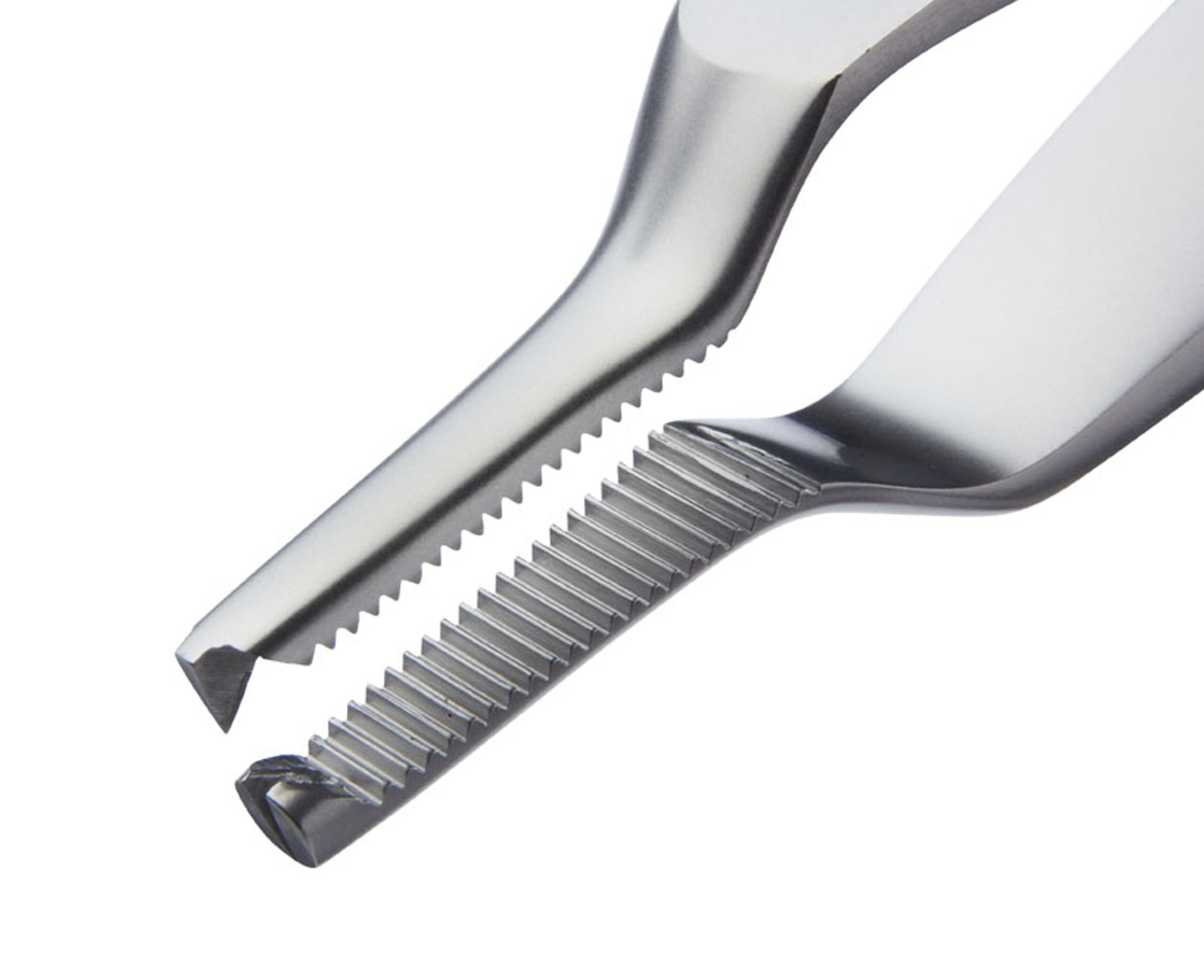 Jeans Dissecting Forceps 1:2 Teeth - Bolton Surgical