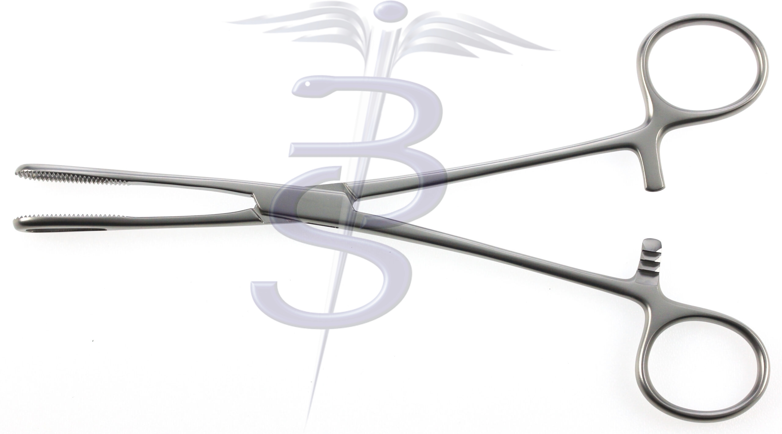 Sponge Forceps