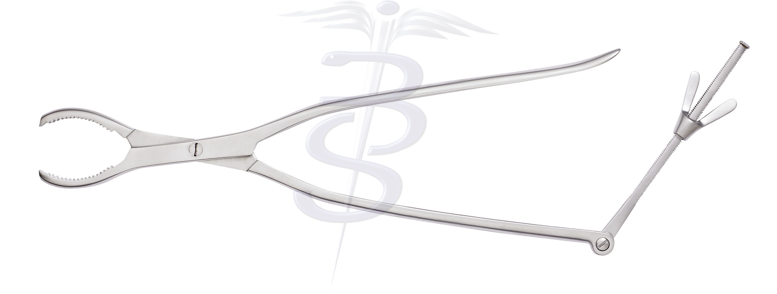 Lane Bone Holding Forceps