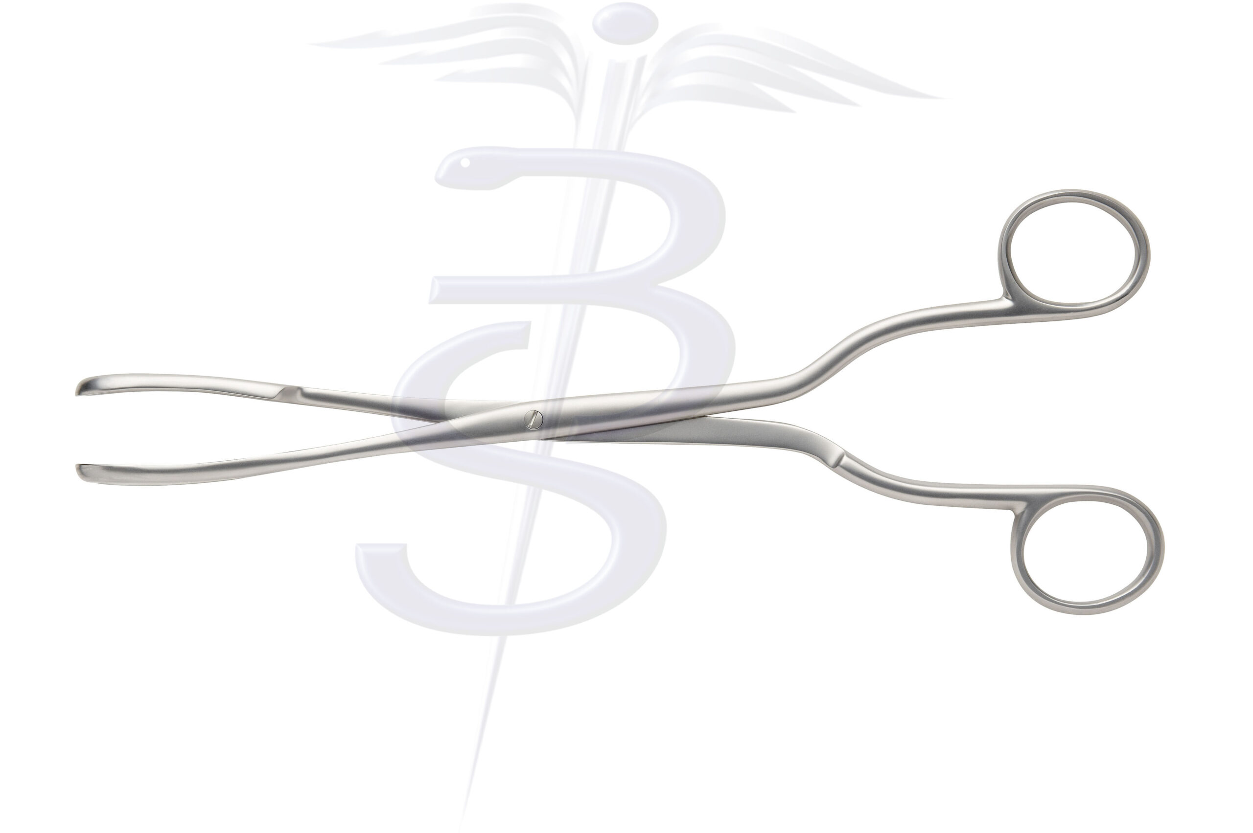 Greenhaigh Ovum Forceps Screw Joint 240mm - Bolton Surgical