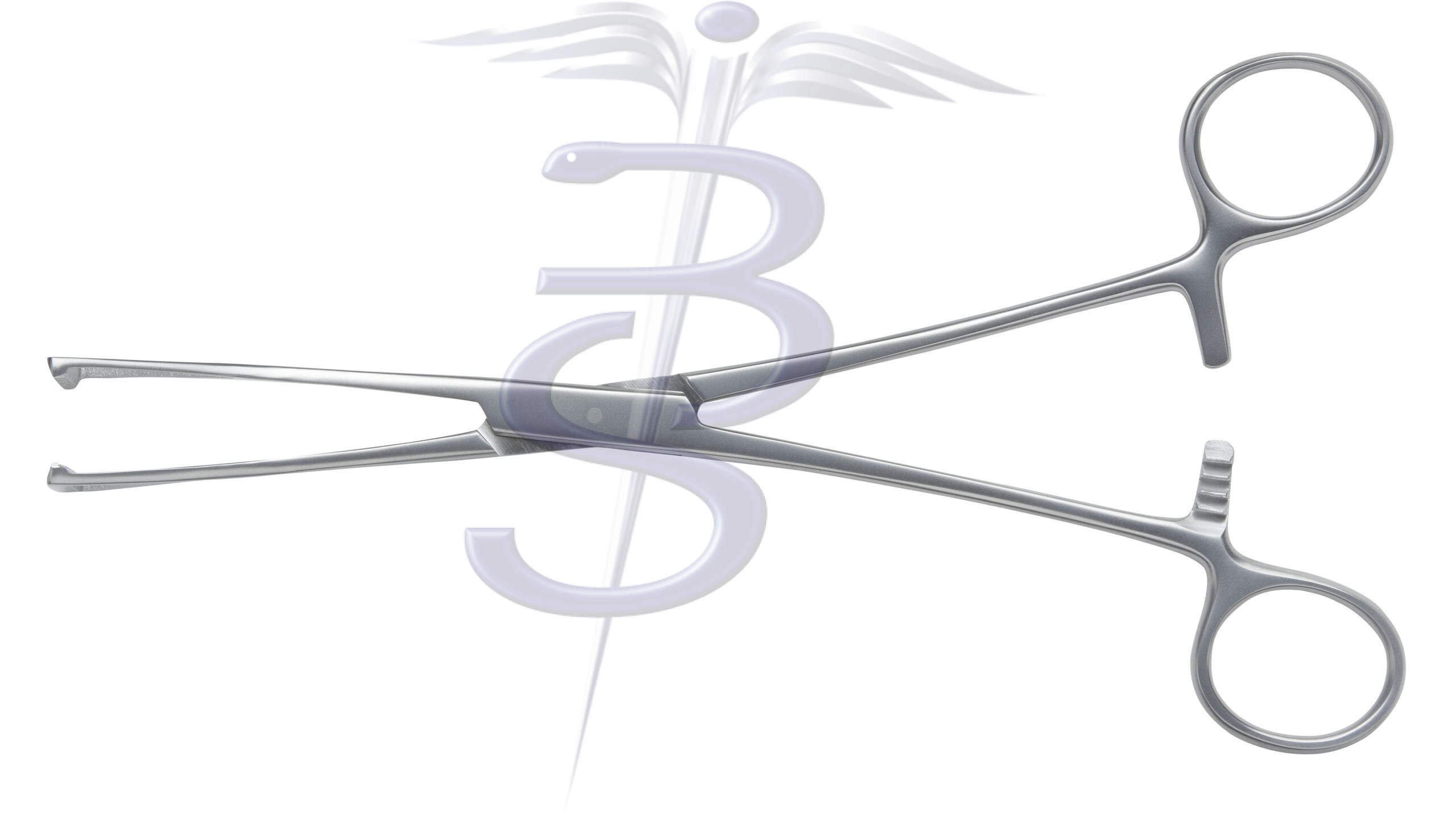 Duval Tissue Forceps Serrated Jaw 300mm Overall Length - Bolton Surgical