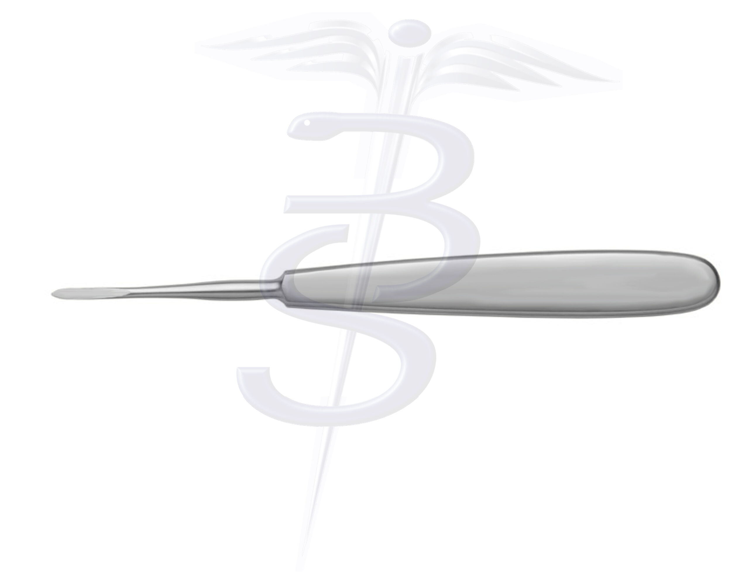 Warwick James Elevator Straight with 2.6mm Wide Tip Overall Length 160mm - Bolton Surgical
