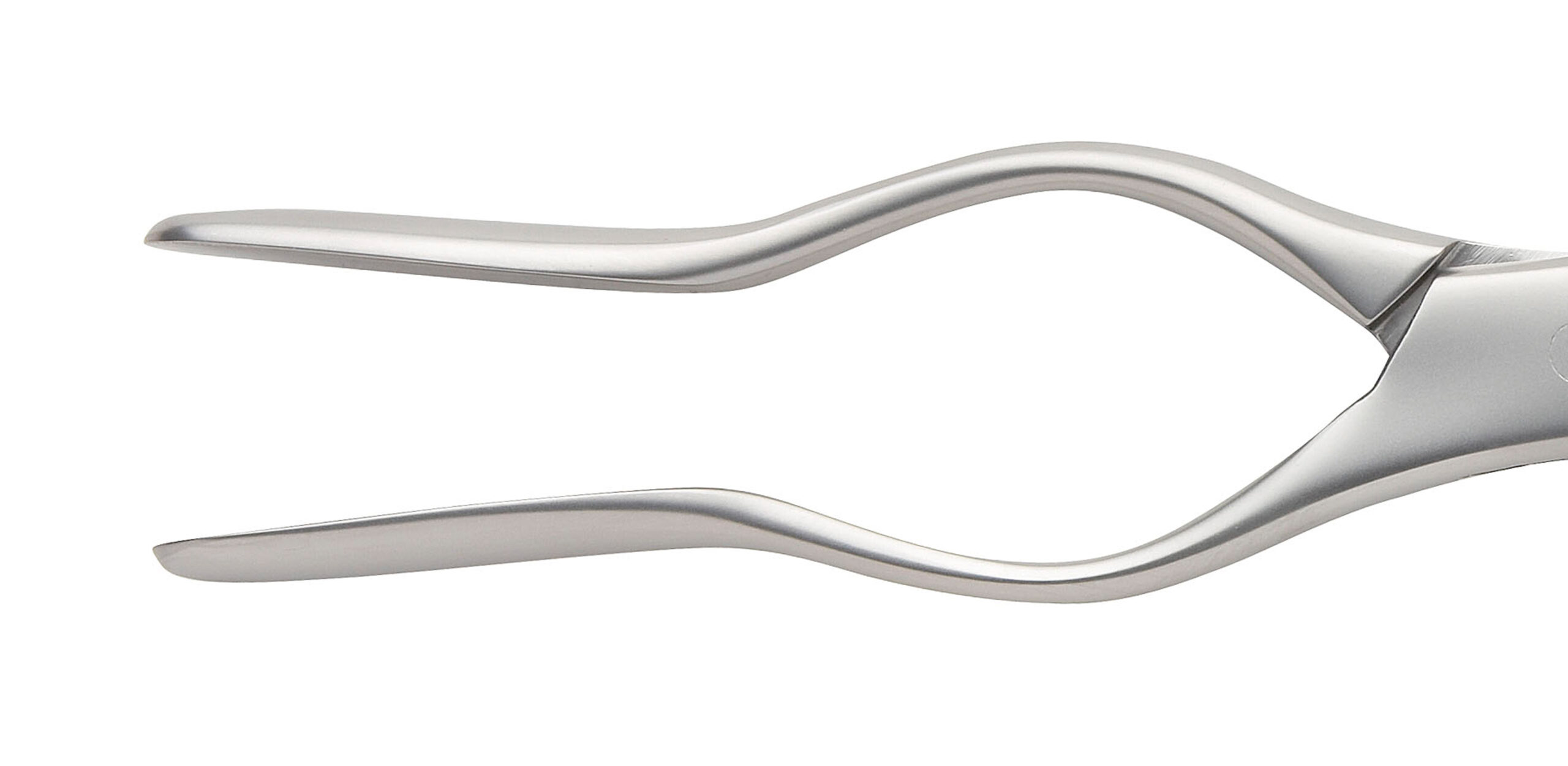 Walsham Nasal Septum Forceps Straight 215mm - Bolton Surgical