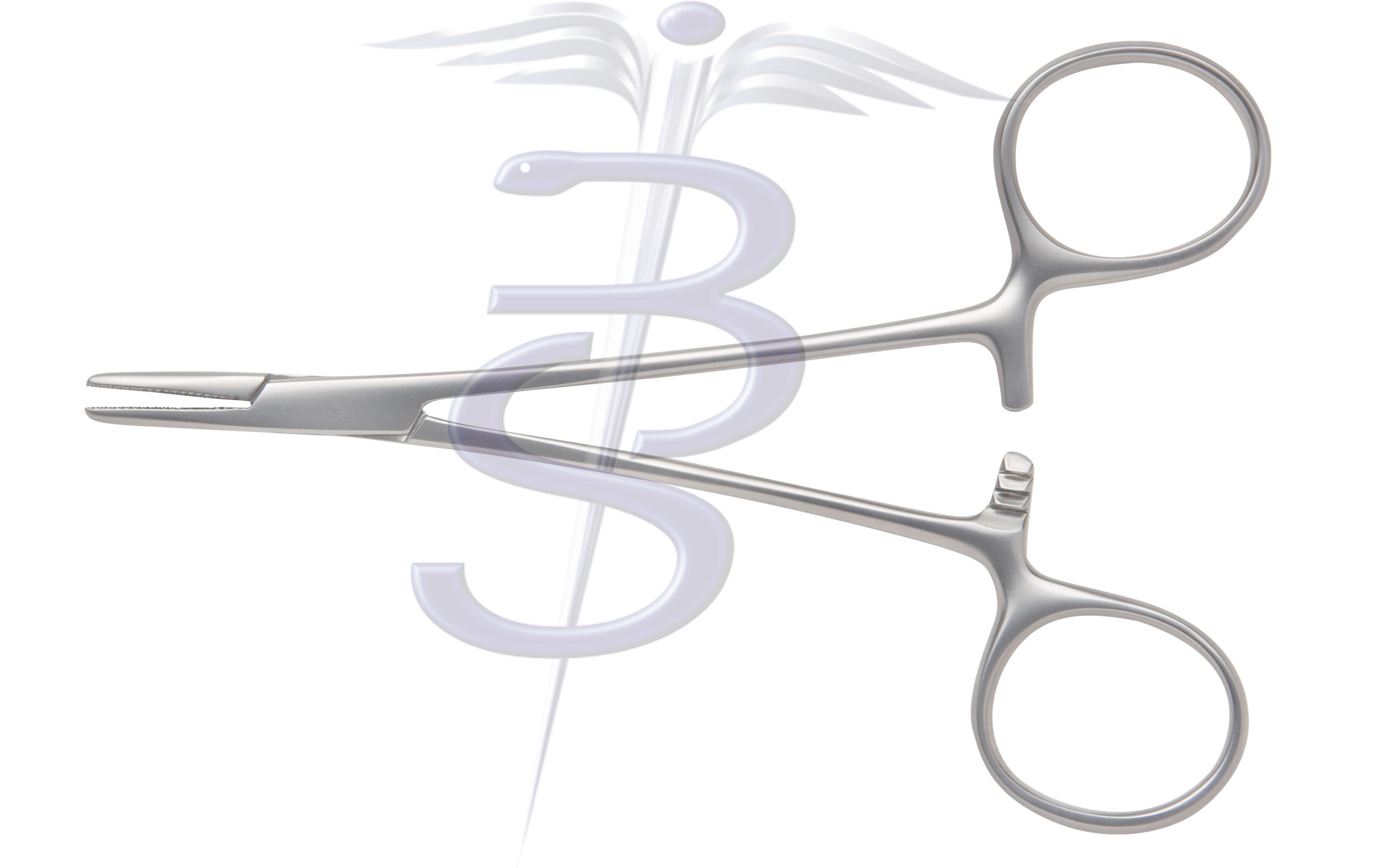 Halsey Needle Holder