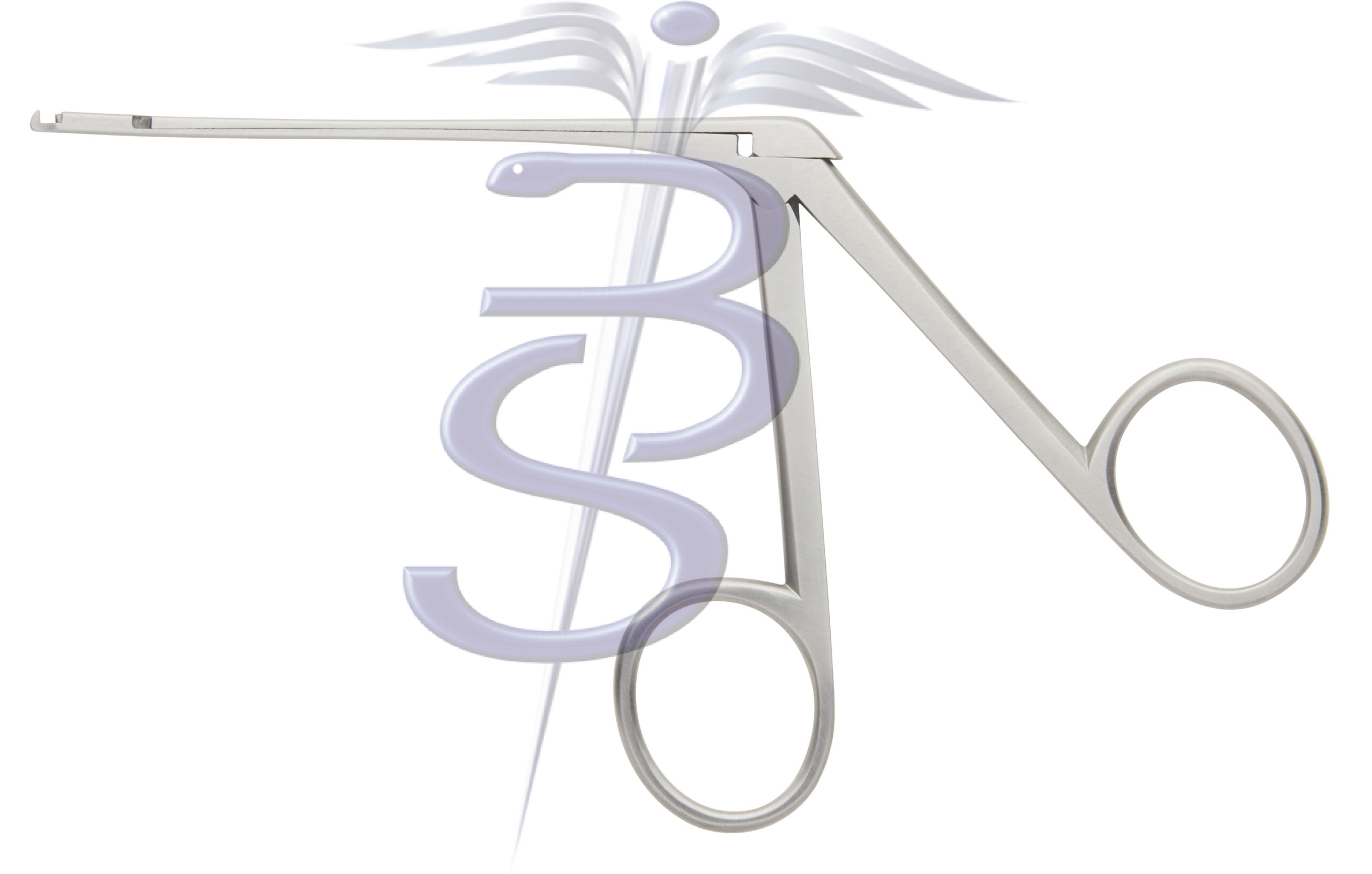 Malleus Nippers