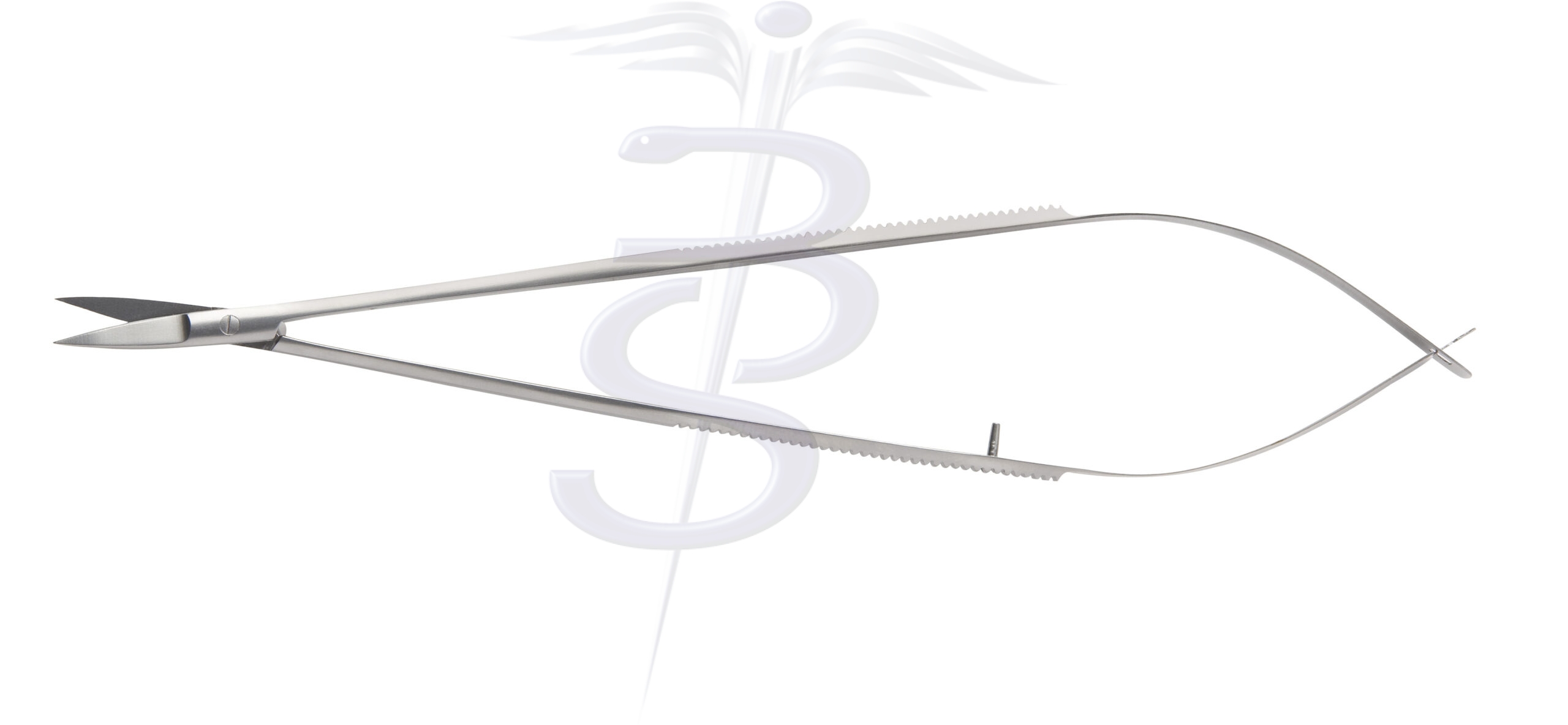 Spring Action Scissor