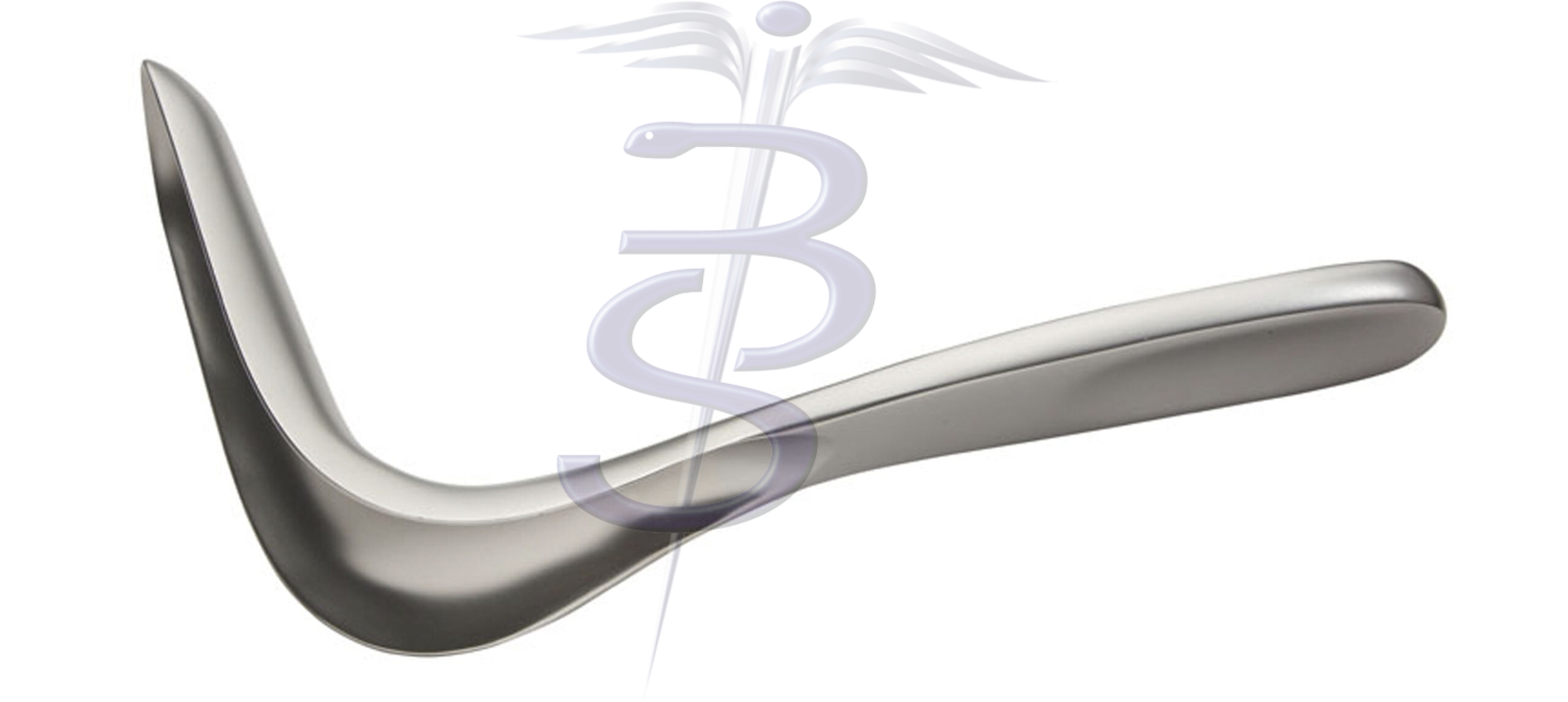 Sims Speculum