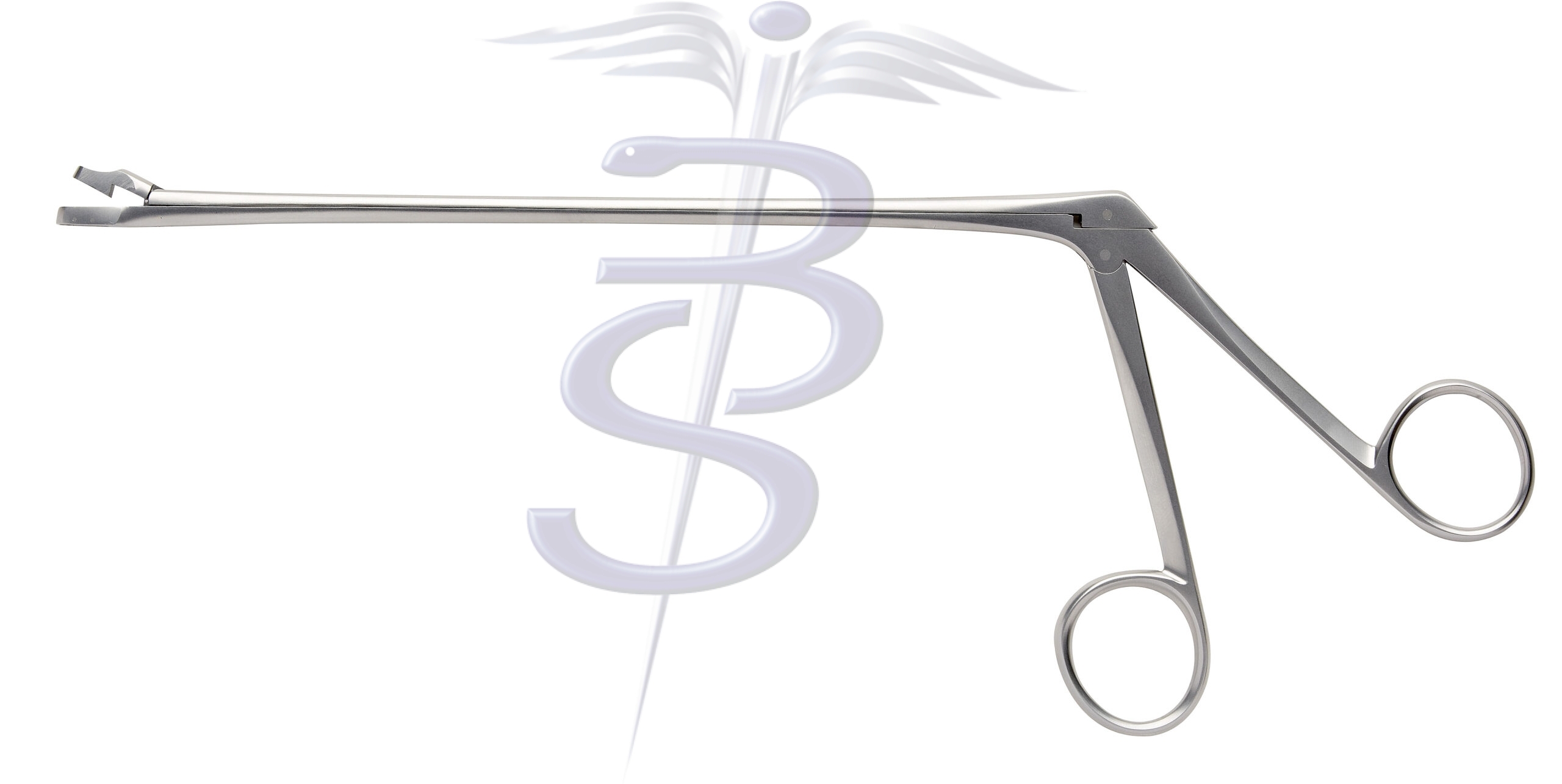Biopsy Forceps / Punches