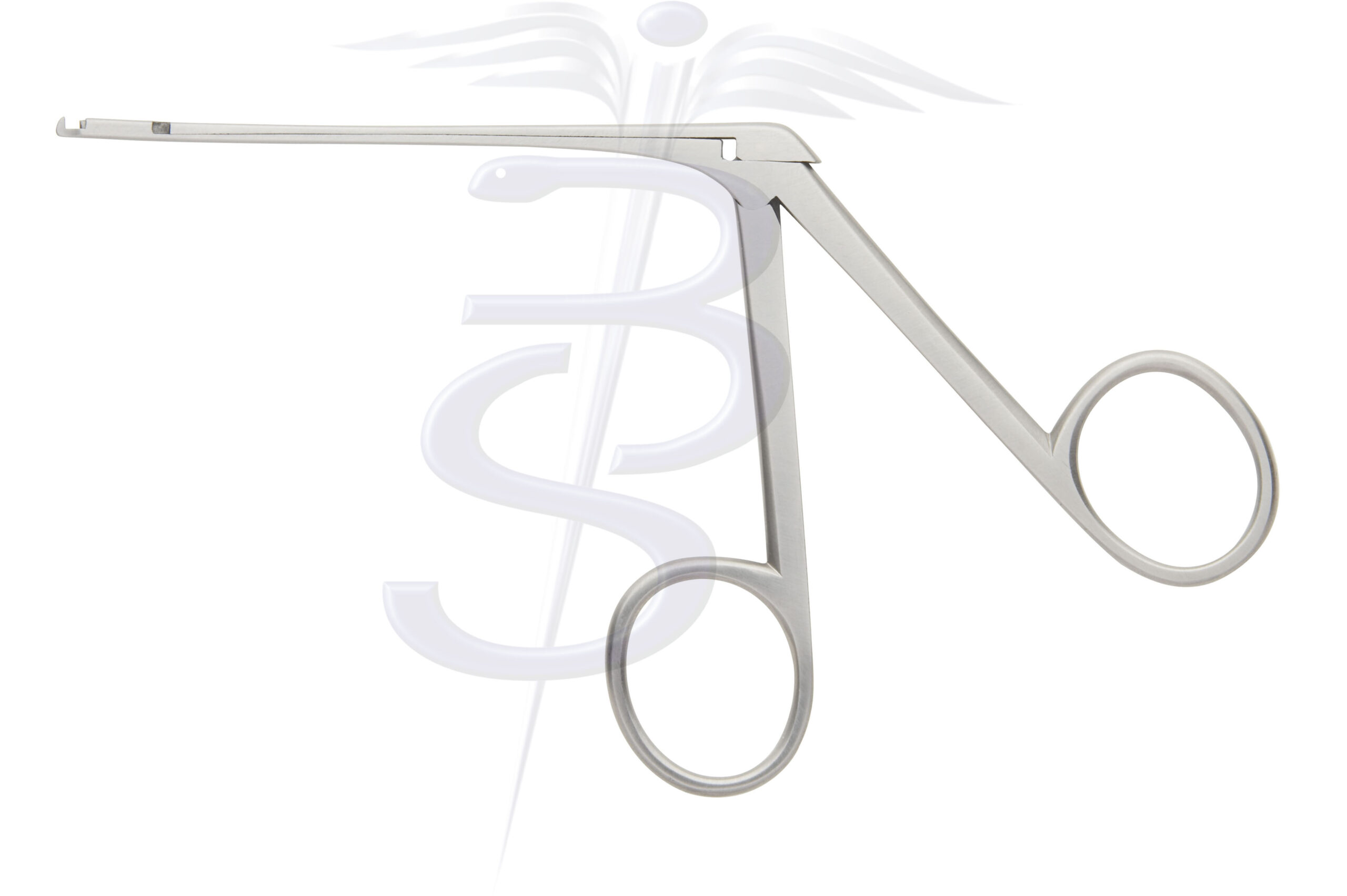 Malleus Nippers