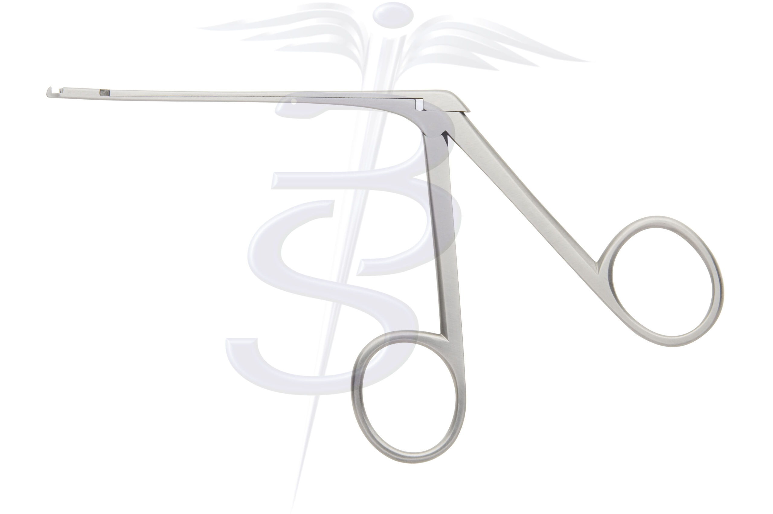 Malleus Nippers
