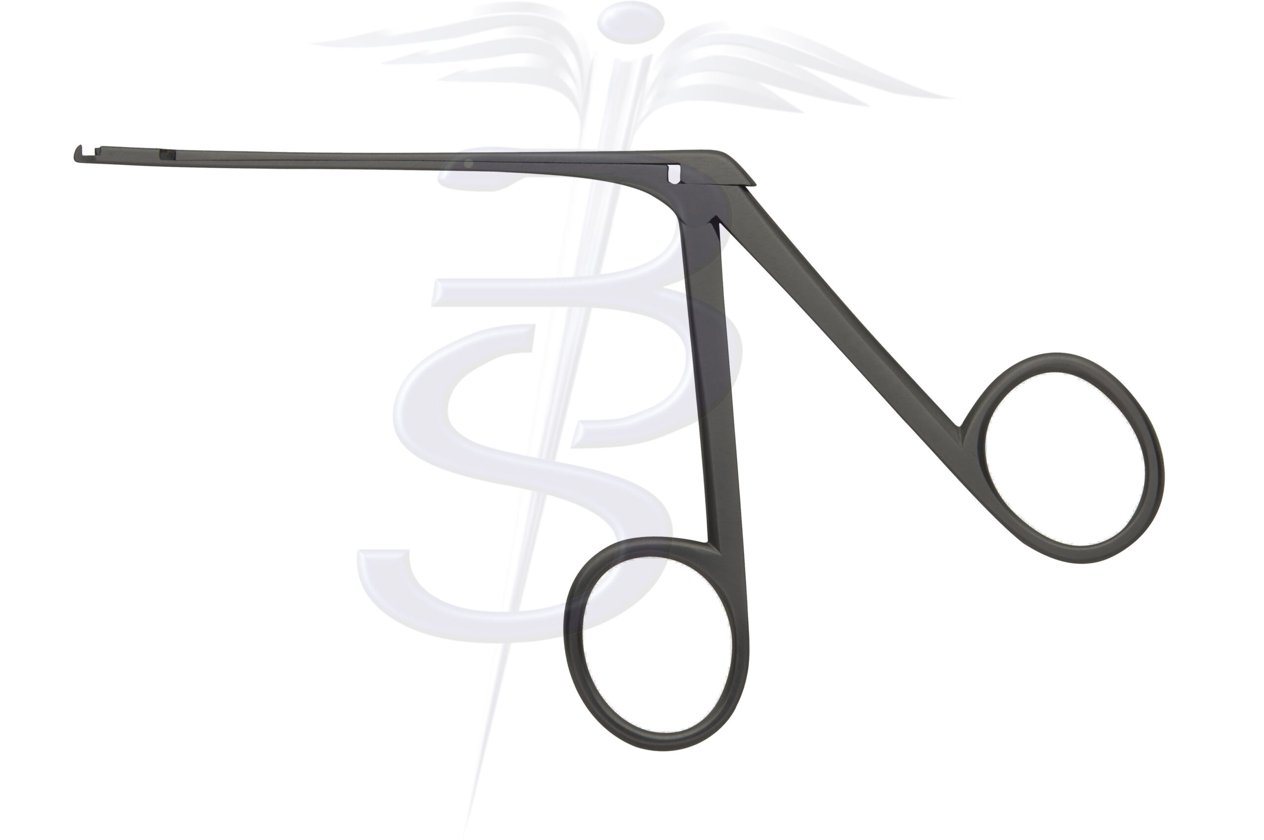 Malleus Nippers