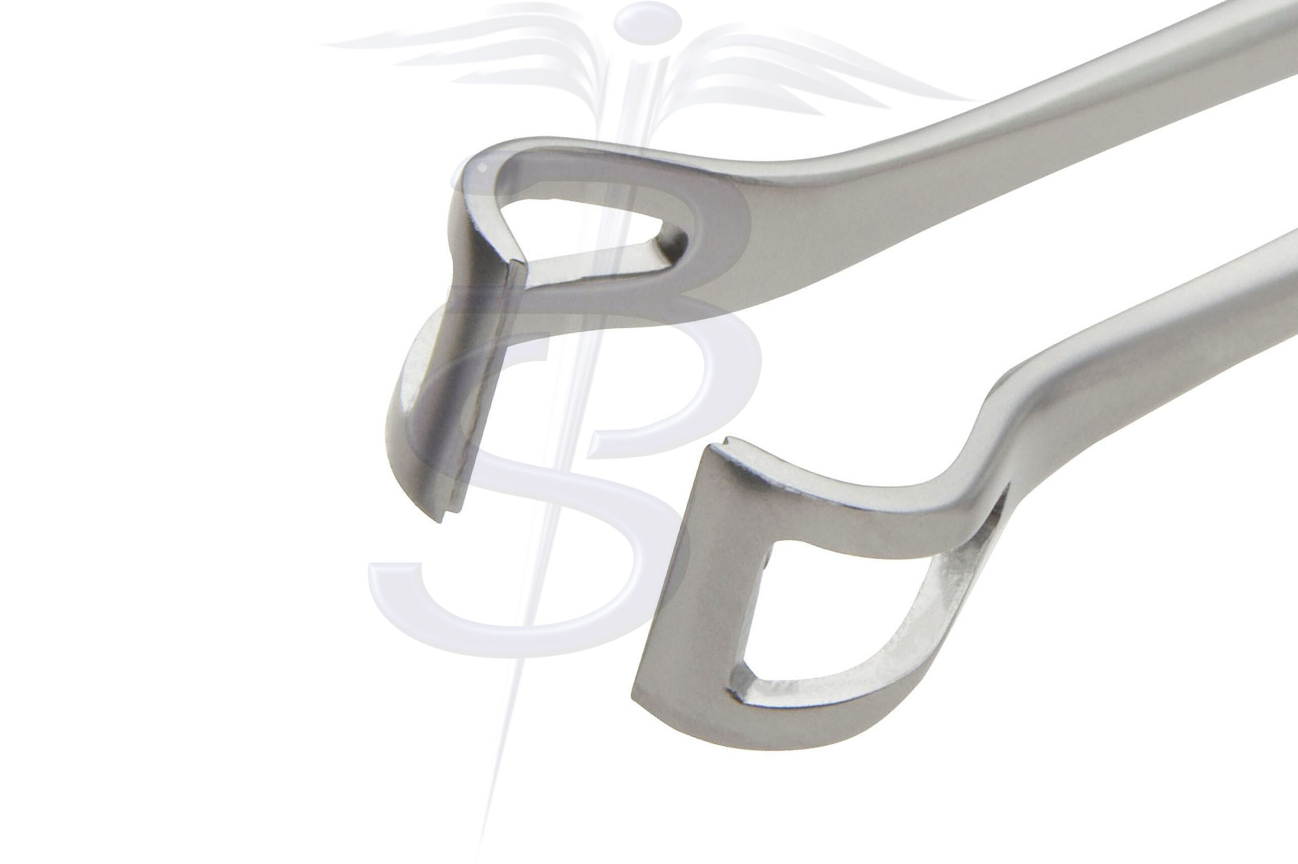 thumbnail image 2 of ODM Veterinary Babcock Tissue Forceps – 6" Intestinal Surgical Instrument – Made In Pakistan 2 of 6