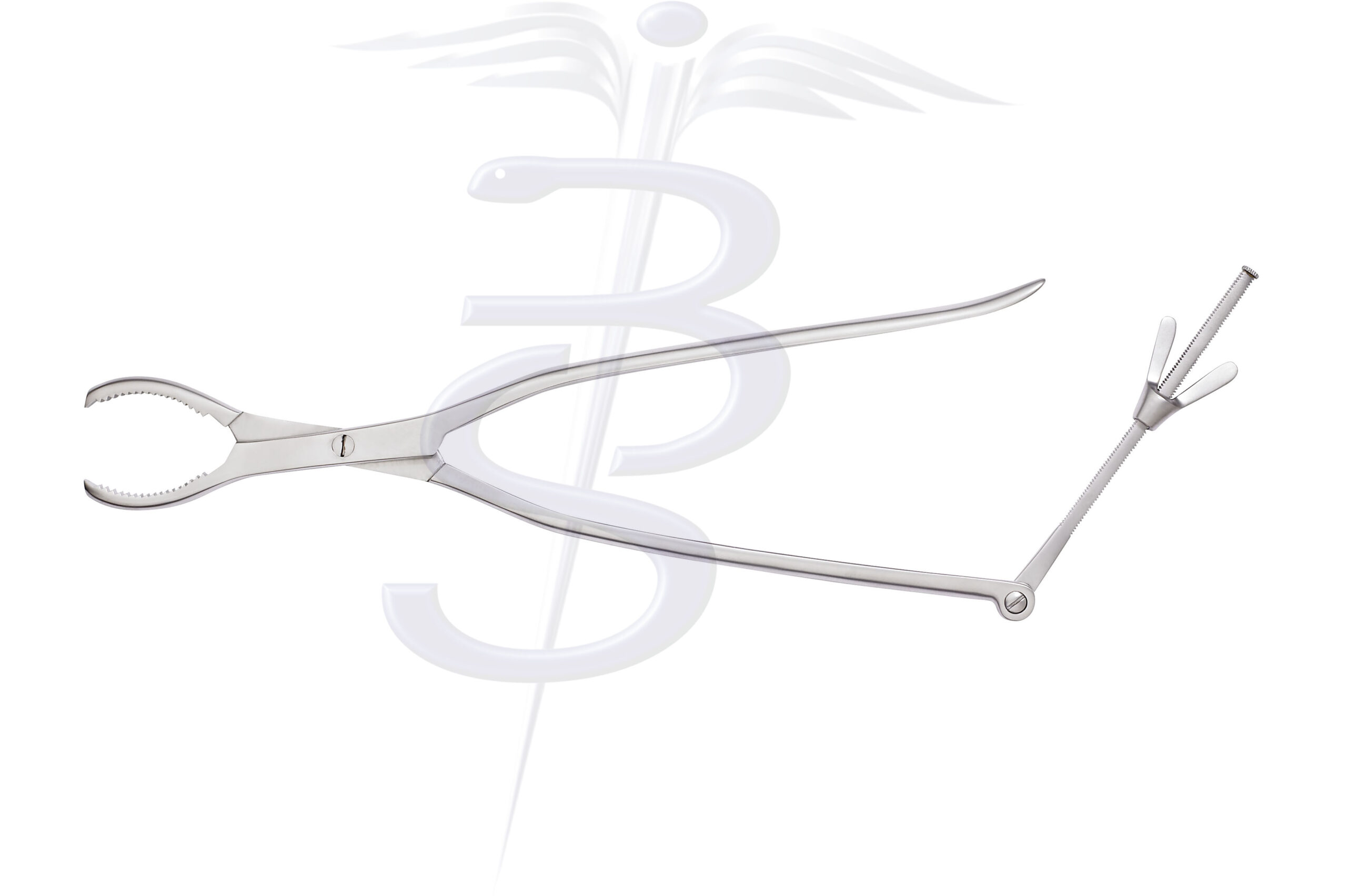 Lane Bone Holding Forceps