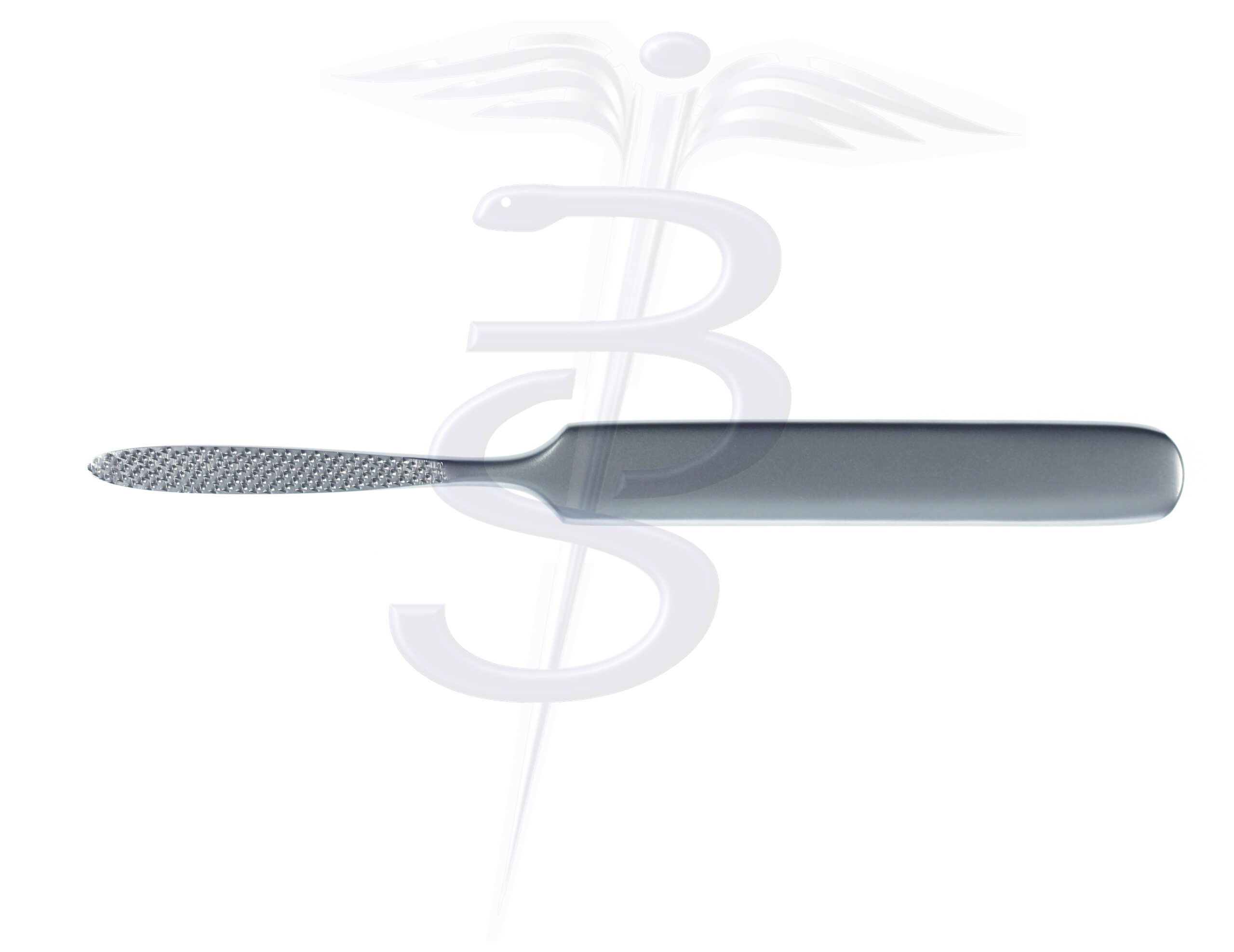 Joseph Rasp/File Heavy File 165mm - Bolton Surgical